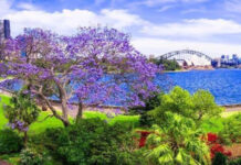 Sydney – Melbourne 7N6Đ – Du Lịch Úc