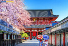 Tour Nhật Bản – Tokyo – Núi Phú Sỹ – Nagoya – Kyoto – Osaka – 6N5Đ – NB01 – Du Lịch Nhật Bản