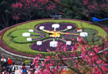 Hà Nội – Đài Bắc – Cao Hùng – Đài Trung – Đài Bắc – 5N4Đ – Du Lịch Đài Loan