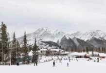 Tour Nhật Bản – Tokyo – Núi Phú Sỹ – Nagoya – Kyoto – Osaka – 6N5Đ – NB01 – Du Lịch Nhật Bản