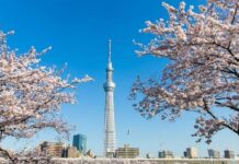 Tour Nhật Bản – Osaka – Kyoto – Nagoya – Phú Sỹ – Tokyo – 6N5Đ – NB01 – Du Lịch Nhật Bản